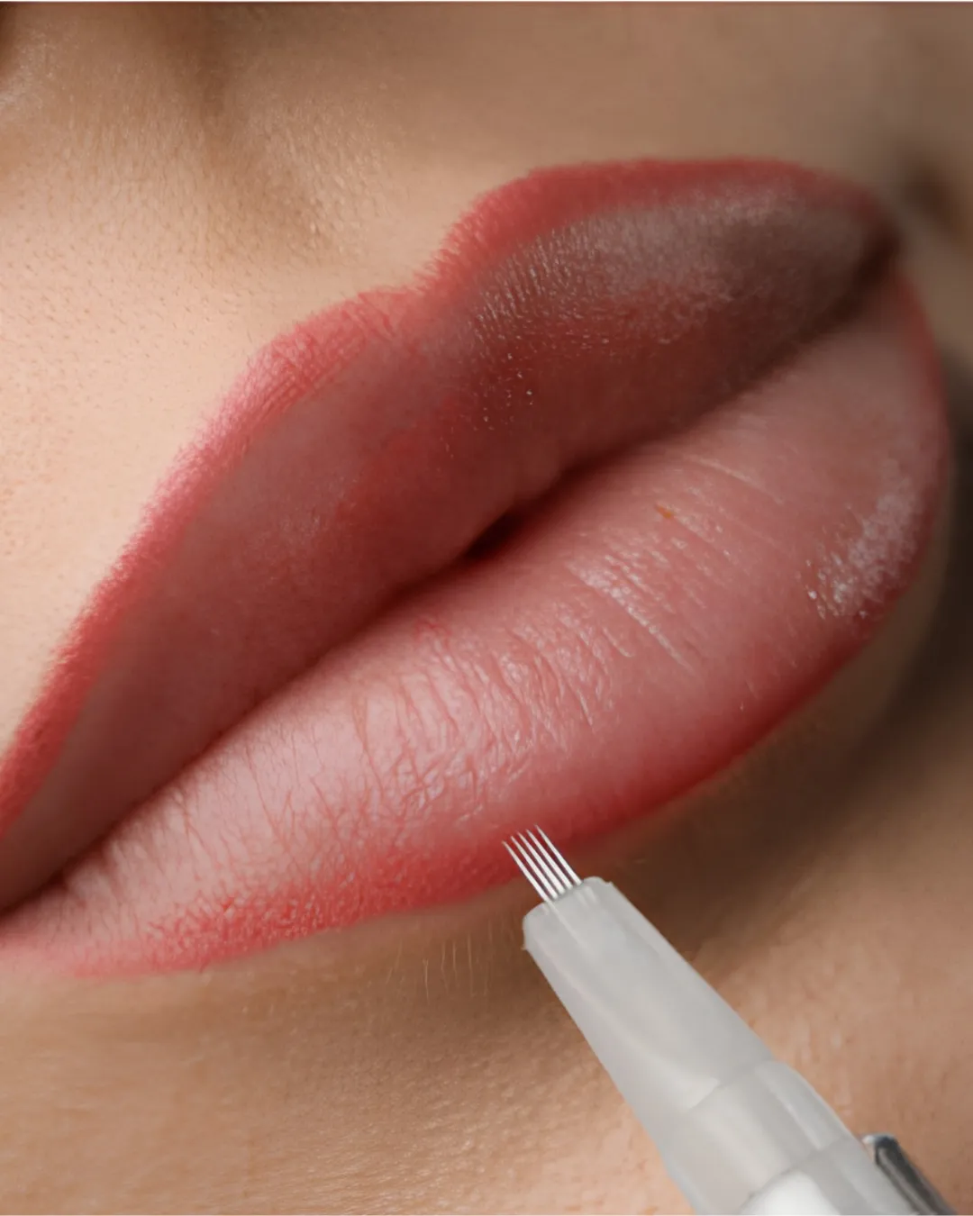 Lip Lining